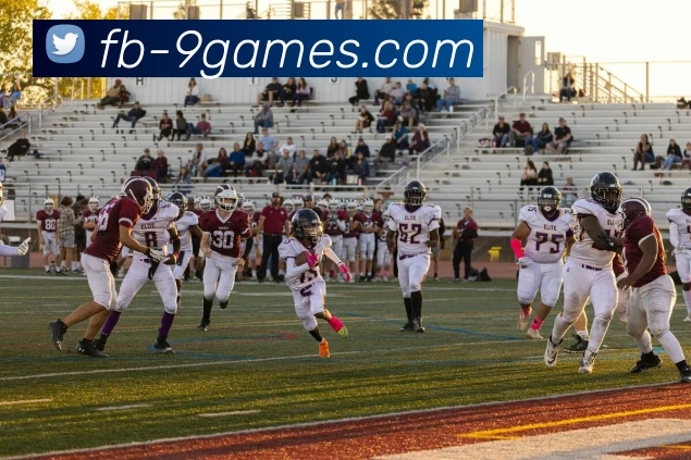 老哥九游官网平台生态图